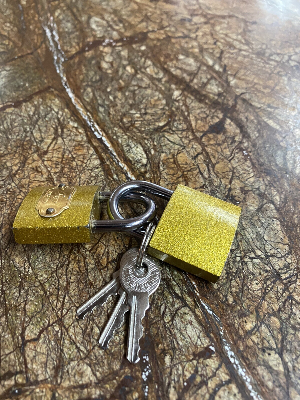 Picture 5 of 6
