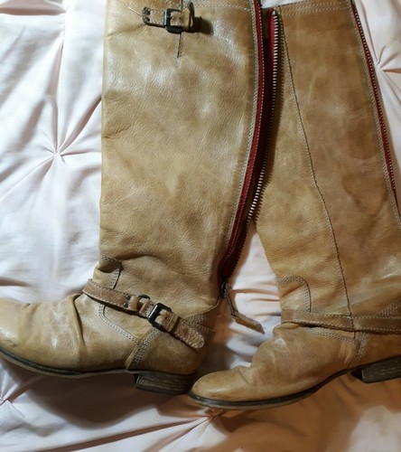 steve madden roady