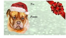 Dogue de Bordeaux Dog Christmas Labels By Starprint - pack of 42 labels