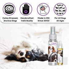 Cavalier King Charles Spaniel Relax Aromatherapy  Calms Your Anxious Scared Dog