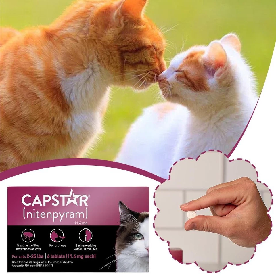 1-3X Capstar Nitenpyram 11.4mg 6 Tablets For Cats 2-25 LBS🚀 - Image 4 of 4