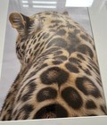 Bild 3 von 4