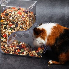  2 Pcs Acrylic Automatic Feeder Hamster Dispenser Small Animal Feeders Dog Food