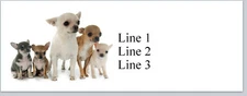 Personalized Address Labels Chihuahua Dog Family (P 818)