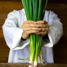 200 Heirloom Giant Japanese Red Beard Bunching Onion Scallion Seeds - Organic