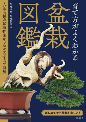 ART BOOK A Bonsai Guidebook: Everything You Need to Know About Growing Bonsai
