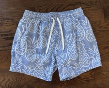 EUC Men's Chubbies Blue Pineapple 5.5" Swim Trunks Shorts 2 In 1 Liner - Small