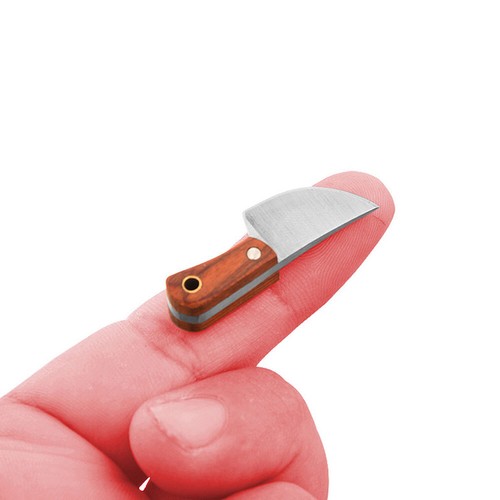Tiny Fixed Blade POCKET KNIFE Tiny Miniature REAL Mini NOT A TOY W/ Sheath - Picture 2 of 14