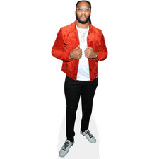 T.J. Ward (Red Jacket) Mini Size Cutout