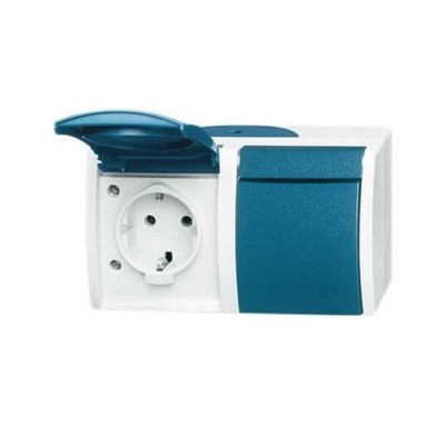 Busch-Jaeger Schuko-Steckdose 2f.gr/bgn 20/2 EW-53 Schutzkontakt Steckdose