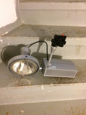 LTS Leuchten Strahler Halogen Spot Lichter MAE 231.7012 Adaptiv auf Stromschiene