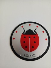 placchetta  agesci coccinelle