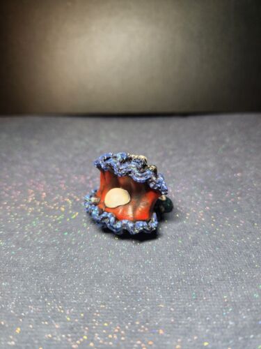 Hand Painted Reaper Bones Clam with Pearl Miniature - Picture 6 of 6