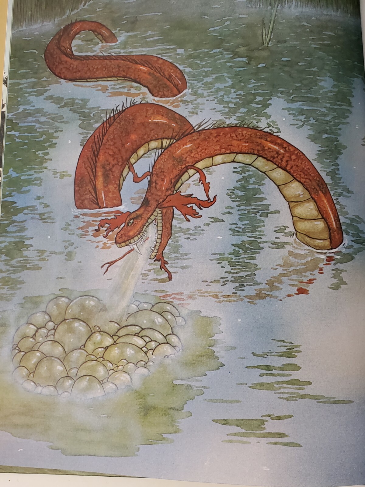 Picture 8 of 9