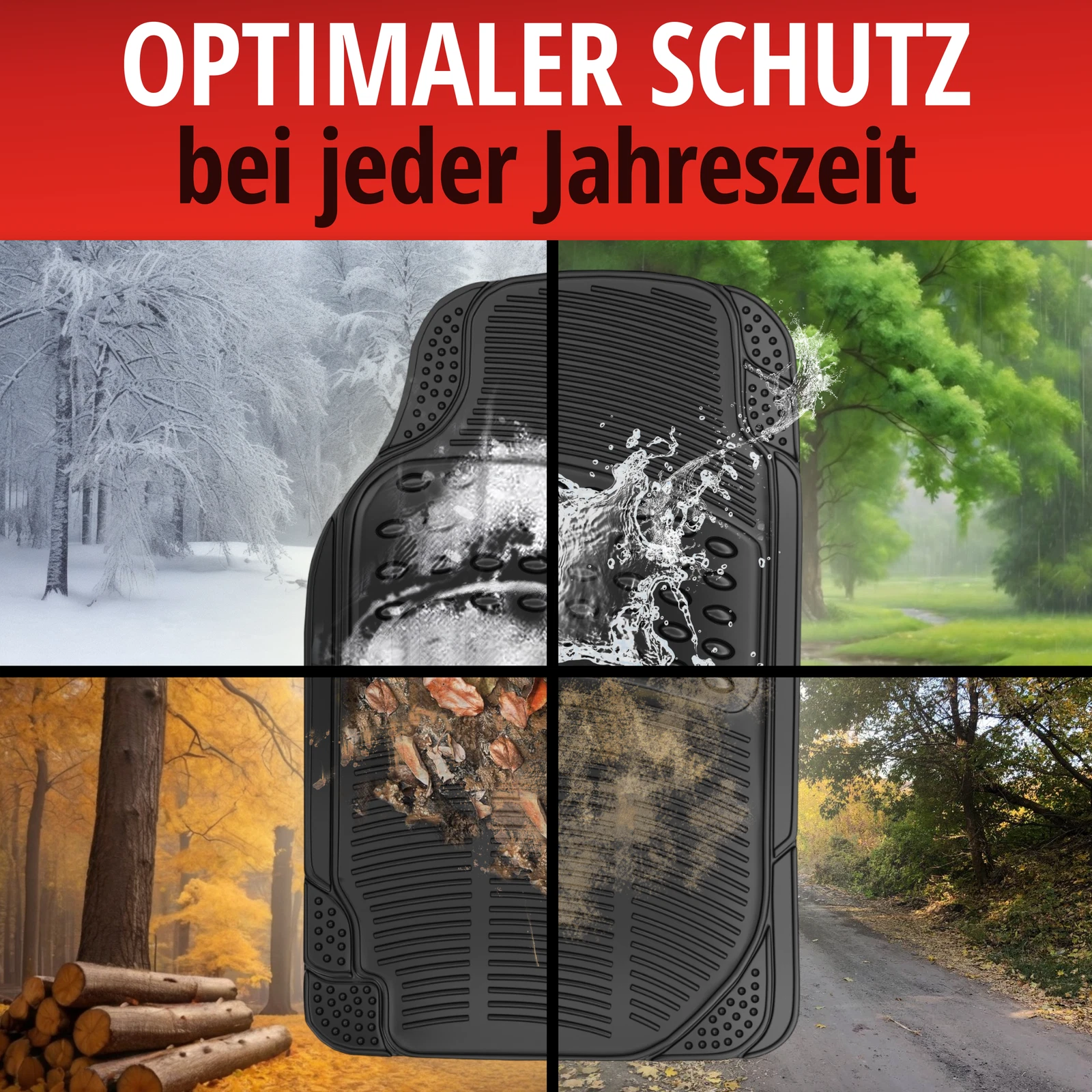 Bild 5 von 8