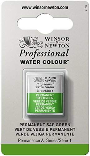 Winsor and Newton Artists Watercolour Permanent Sap Green (1) Half Pan (n5x)