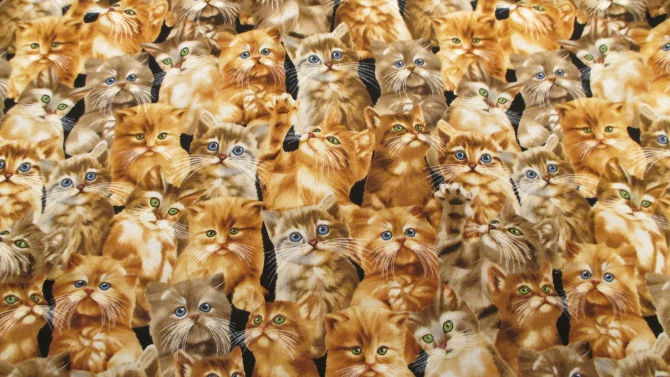 Хлопчатобумажная ткань Cats All over Timeless Treasures Michael S C4121 1 ярд 15 дюймов x 44 - Изображение 4 из 4