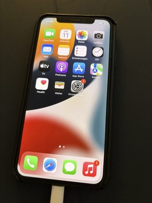 Apple iPhone X 256GB Spacegrau iOS 15.1 Selten Jailbreak -fähig