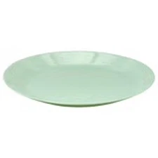 Green Vibes: OFTAST 10" Dinner Plates Set of 4 for Fearless Feasts
