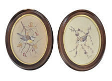 Pair John Straw Ltd.Ed. Framed Prints Blue Tit on Hawthorn & Gold Crest on Larch