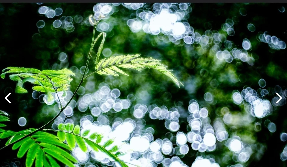 Zenit MC Zenitar-M2s 50mm F2 M46×0.75 Macro Lens (Excellent Condition) - Image 3 of 4