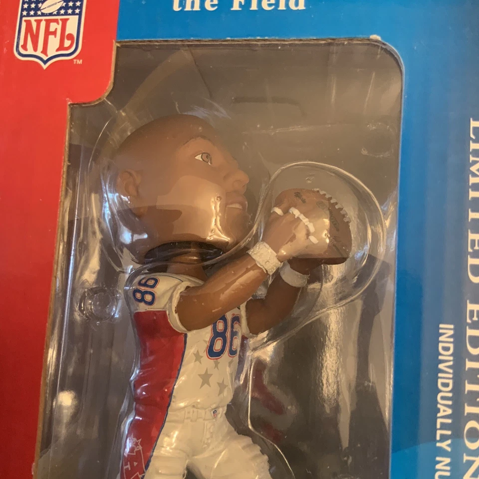 PITTSBURGH STEELERS HINES WARD Pro Bowl LEGENDS OF FIELD BOBBLEHEAD raro nuevo en caja Foto 2 de 4