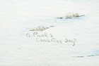 Bild 4 von 13