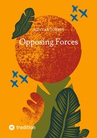 Opposing Forces Aldivan Torres Taschenbuch The Seer Englisch 2024 Tredition
