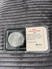 2002 1 oz Silver American Eagle (Brilliant Uncirculated)