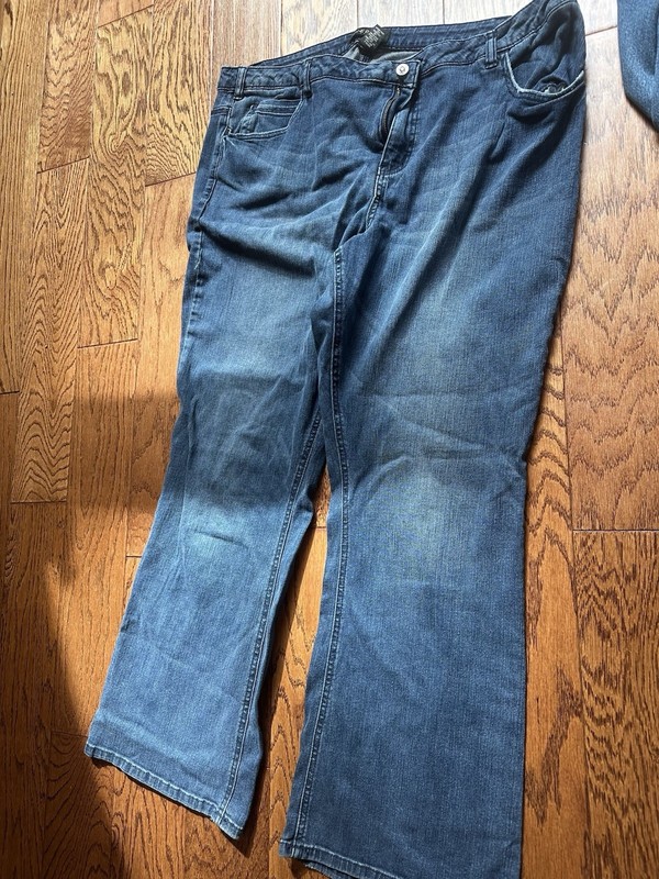 Lane Bryant Women's Blue Jeans, Size 24