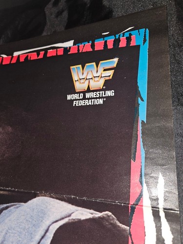 WWE SHAWN MICHAELS & SUNNY SIGNED DOUBLE SIDED 1996 MAGAZINE POSTER JSA CERT WWF - 第 24/24 張圖片