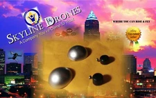 2 HolyStone HS100 GPS  Drone  Propeller Blade Lock Restraints & Caps