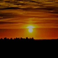 SUMMER NIGHTS Fragrance Oil to craft Candles Soaps Lotions Bath products