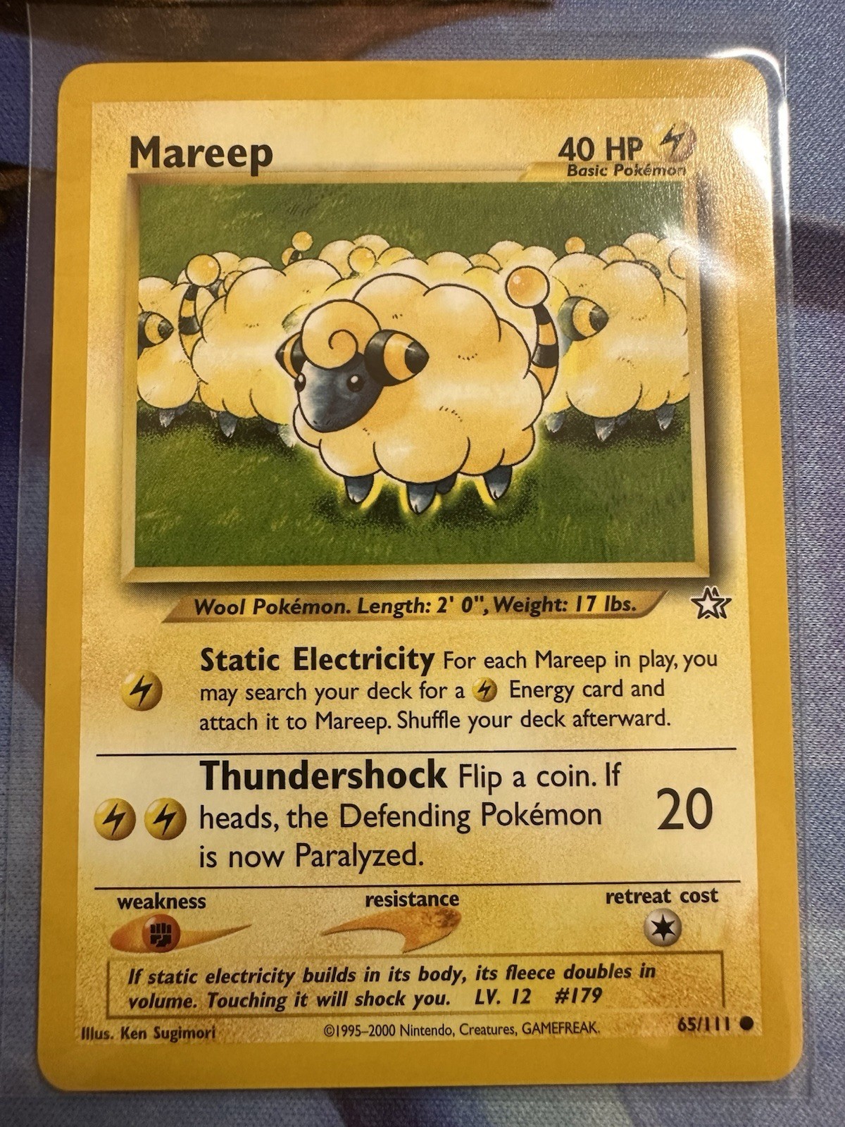Mareep 65/111 Neo Genesis Regular
