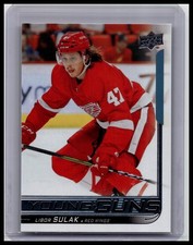 2018-19 Upper Deck #227 Libor Sulak Young Guns