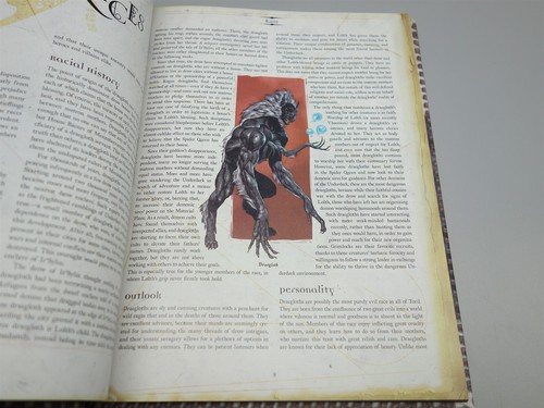 Dungeons & Dragons, D&D: Forgotten Realms Champions of Ruin - Picture 7 of 12