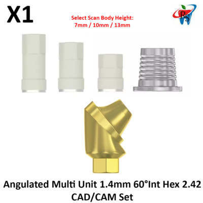 Dental Angulated Titanium Multi Unit 1.4 60° Int Hex 2.42 CAD/CAM Set Prosthetic