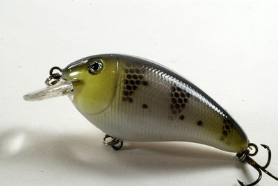 Akuna Glittertail 3/" Shallow Diving Square Bill Crankbait Fishing Lure in Colors