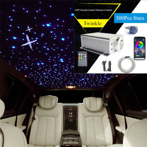 16W 300Pcs Twinkle Fiber Optic Starry Car Ceiling LED Light APP Remote Control - Afbeelding 1 van 11