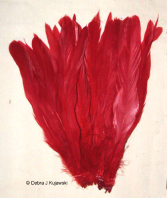 25 RED Rooster Tail Feathers 8-10'' length Strung 