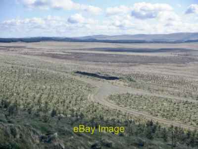 Foto 6x4 neu gepflanzter Wald, seltenes Rig Tweeddaleburn Young Sitka und um 2021