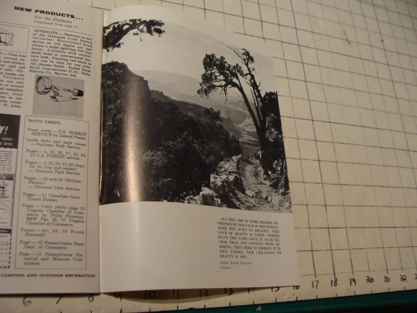 Picture 8 of 9