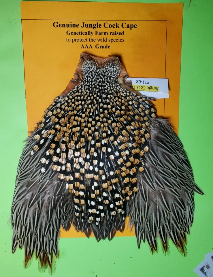 Capa Jungle Cock SUPER AAA 11-08 EE. UU. Solo  Foto 2 de 4