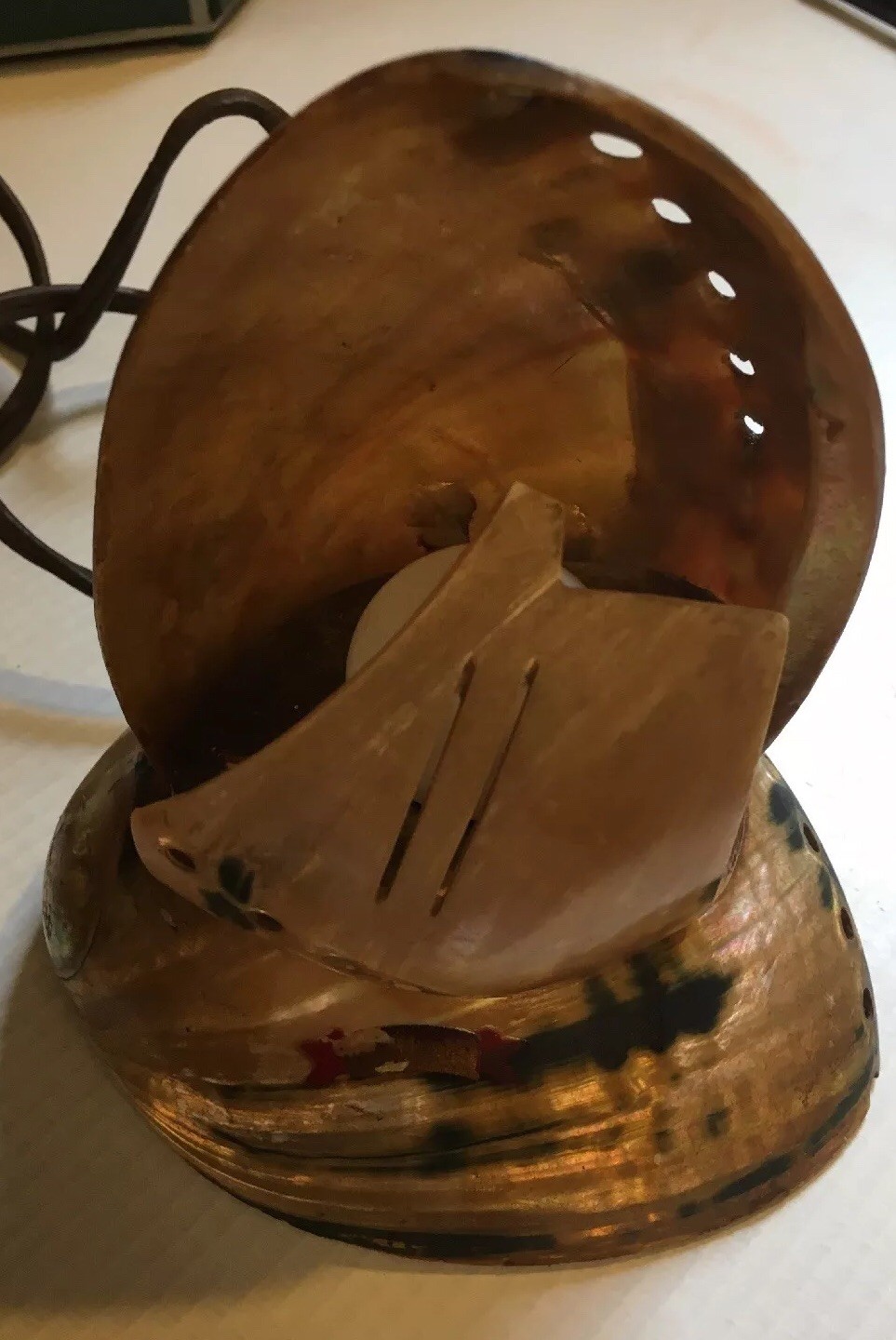 Vintage Abalone Seashell Night Light eBay