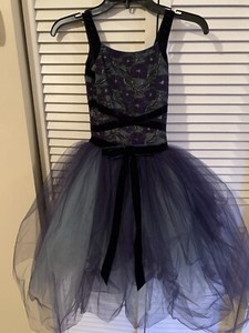 Beautiful Revolution ballet costume Size LC