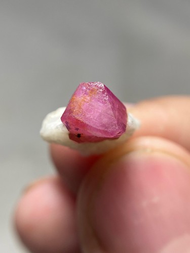 8.15ct | A+++Quality Terminated Ruby Crystal With Matrix Specimen | Afghanistan - Picture 5 of 19