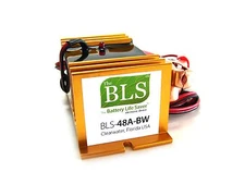 BLS-48BW 48 volt desulfator for solar/wind battery banks longer wires, EYE RINGS