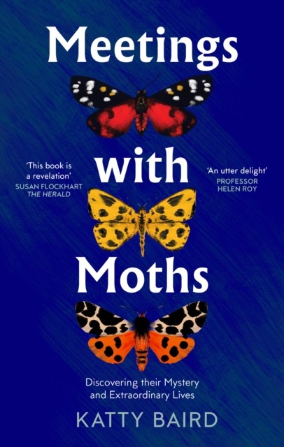 Meetings with Moths by Katty Baird (Paperback Book)