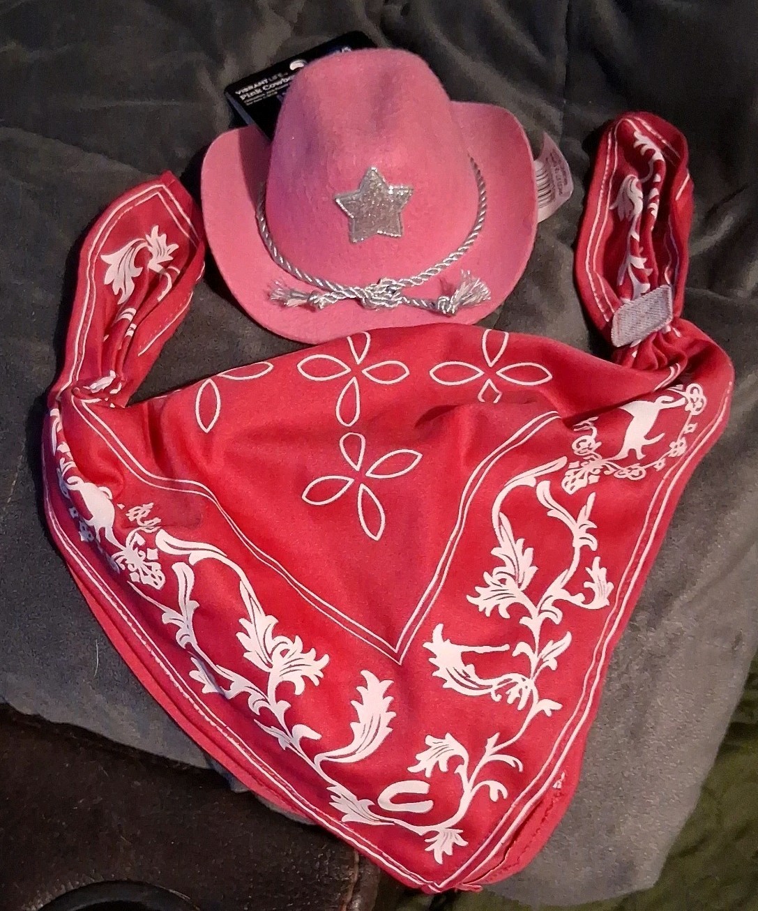 Set Bandana e Cappello per Animali Domestici Rosa Stile Western, Accessori per Cani (Piccolo)