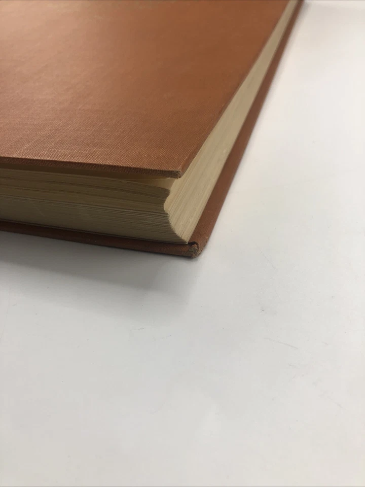 Willy Burger Renaissance Painting Die Malerei In Den Niederlanden Von 1400-1550 Foto 4 de 4